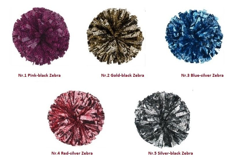 pom-cheerleading-zebra