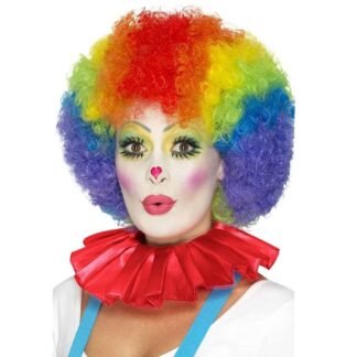 Περούκα Καρναβαλιού κλόουν